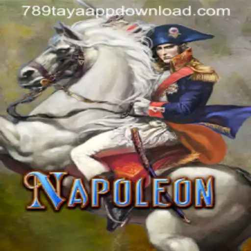 Exploring Napoleon: A Strategic Card Game with a Rich History